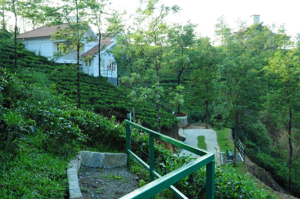 सहारा Falcon Crest 3*