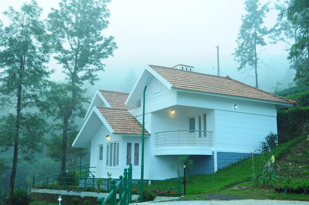 Falcon Crest सहारा